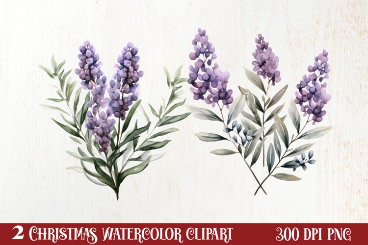 Lavender Png Image 17