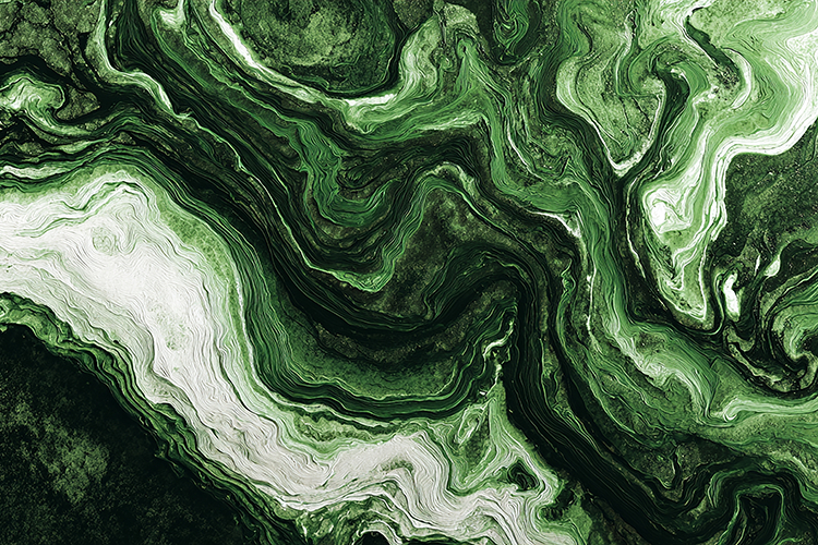 A green & white abstract marble pattern with swirling shapes