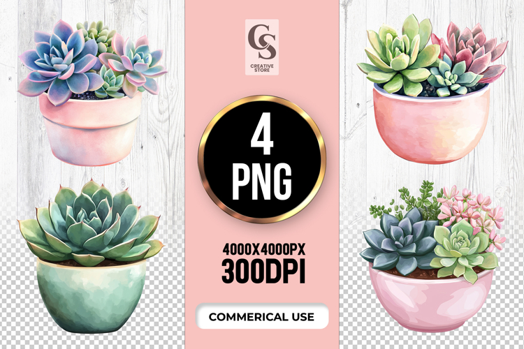 Watercolor Succulent Plant Clipart Sublimation PNG