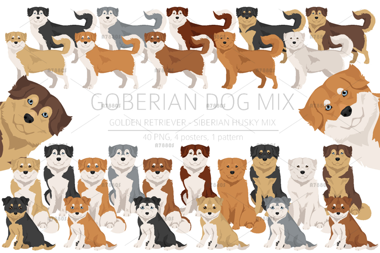 Puppy Clipart Image 6