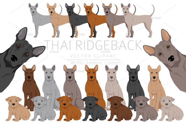 Dog Clipart Image 7