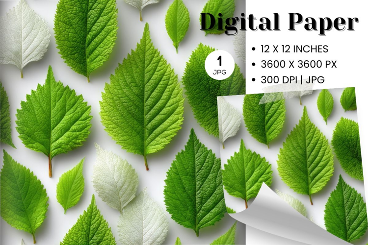 Leaf Fall Autumn Background Wallpaper Pattern_8