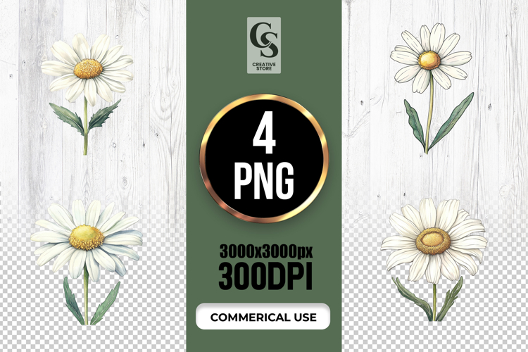 Flower Daisy Clipart