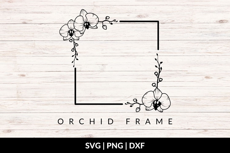 Orchid Square Frame SVG
