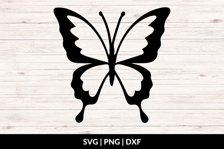Butterfly Clipart Outlines Image 4