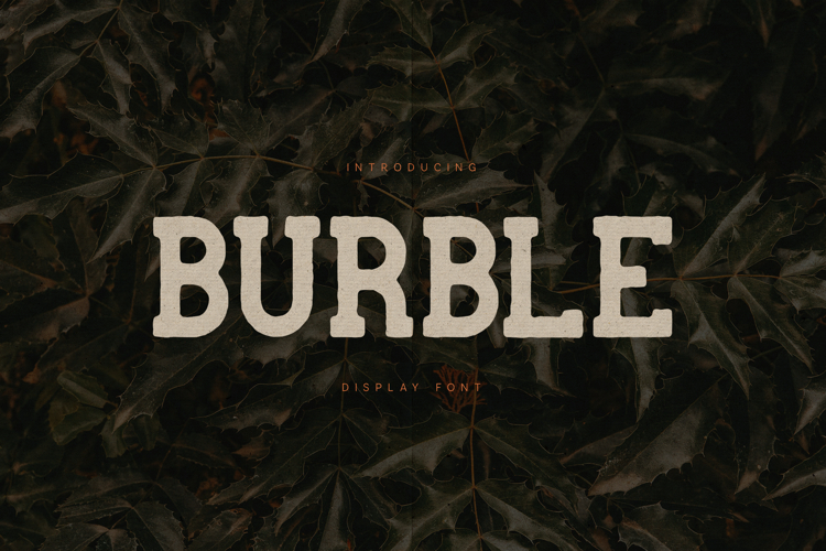 Burble Bold Vintage Slab Display Font