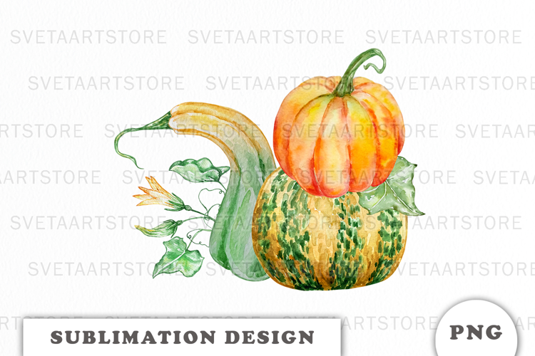 Watercolor Autumn Pumpkins png