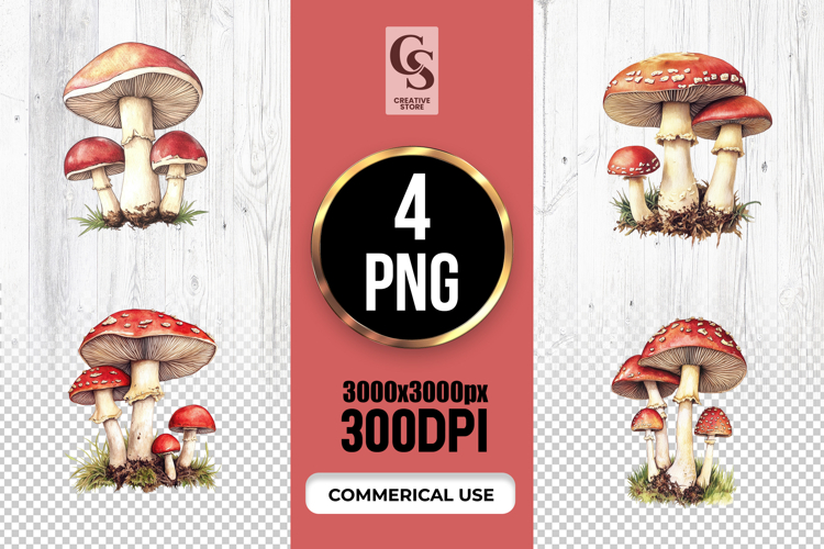 Watercolor Mushroom Illustration Clipart Sublimation PNG