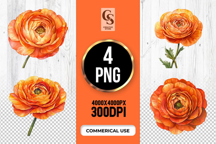 Orange Flower Png