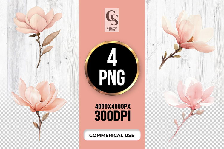 Magnolia Illustration Image 22