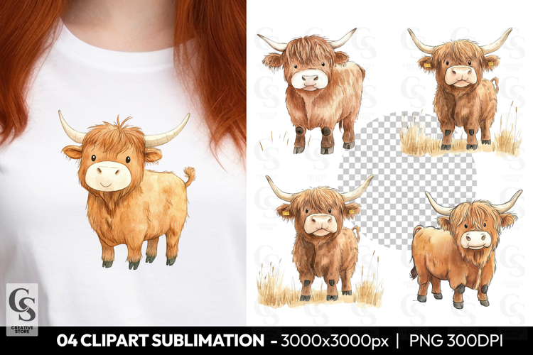 Highland Cow Png Image 4