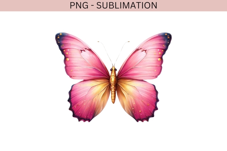 Watercolor Valentine butterfly png design for T-shirts