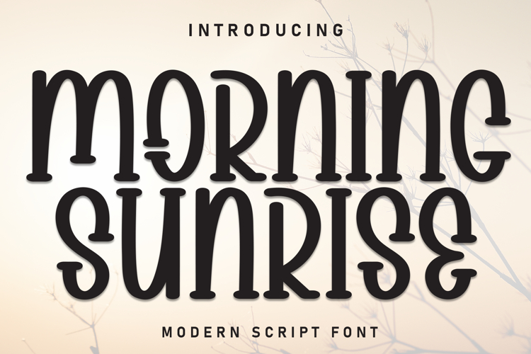 Morning Sunrise