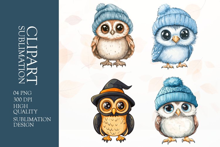 Owl Illustration Image 13