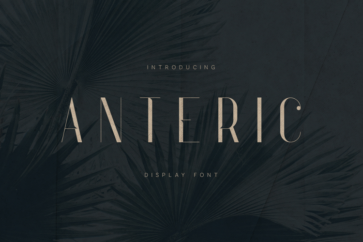 Anteric Cinematic Display Serif Typeface