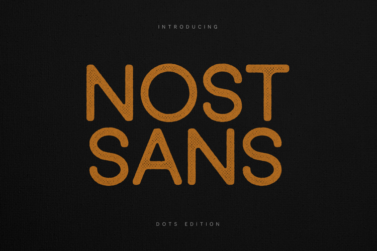 Nost Sans Textured Modern Sans Serif Font