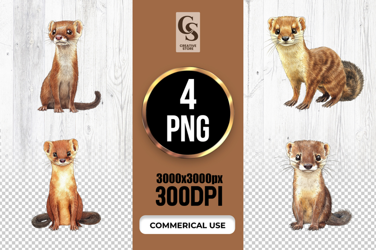 Watercolor Weasel Animal Clipart Sublimation PNG