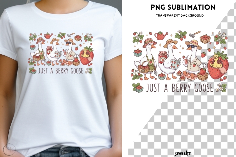 Goose Illustration Image 18