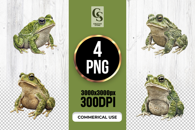 Watercolor Toad Illustration Clipart Sublimation PNG