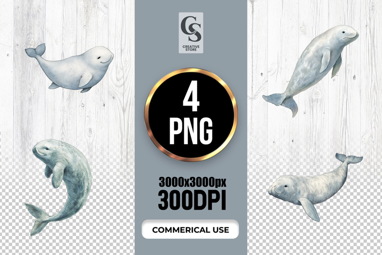 Watercolor Beluga Whale Clipart Sublimation PNG