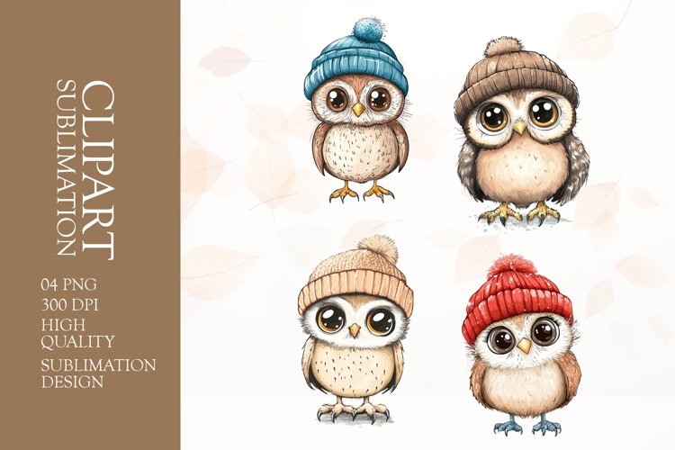 Owl Illustration Image 14