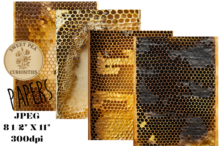 Media Clipart Image 2