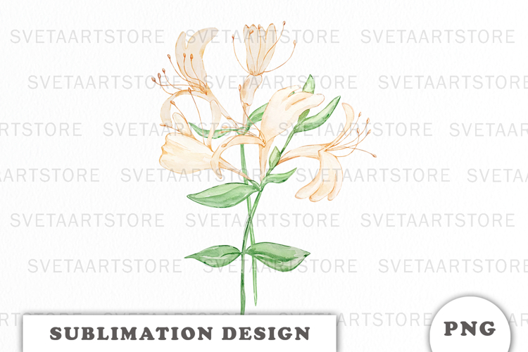 Watercolor Honey Suckle Flowers Bouquet png