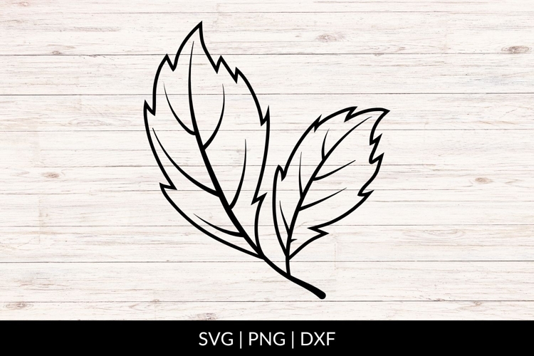 Autumn Leaf Svg Image 13
