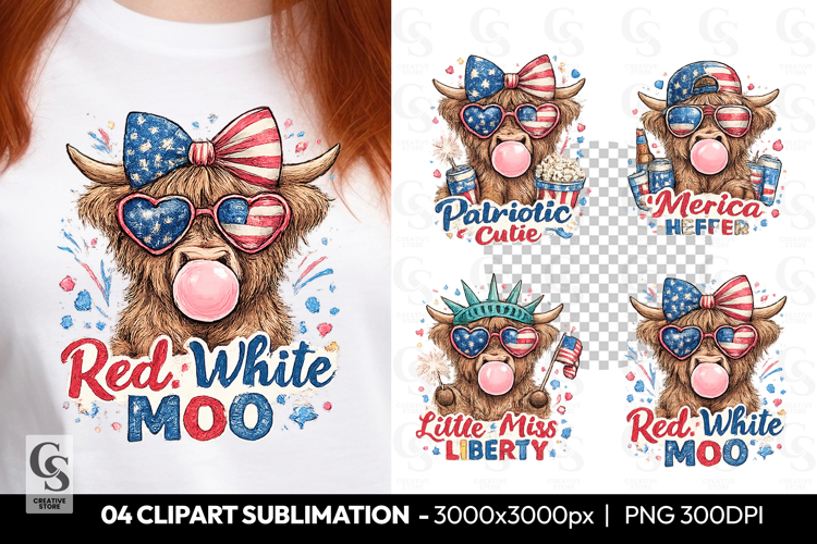 Usa Flag Clipart Image 5