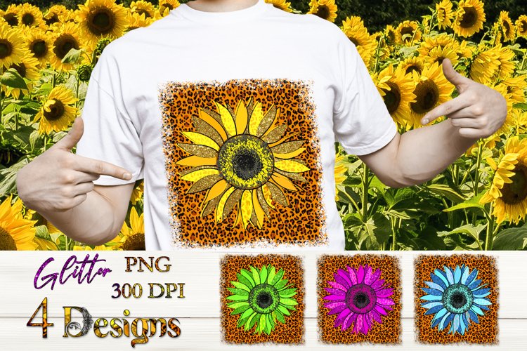 Sunflower PNG Image 24