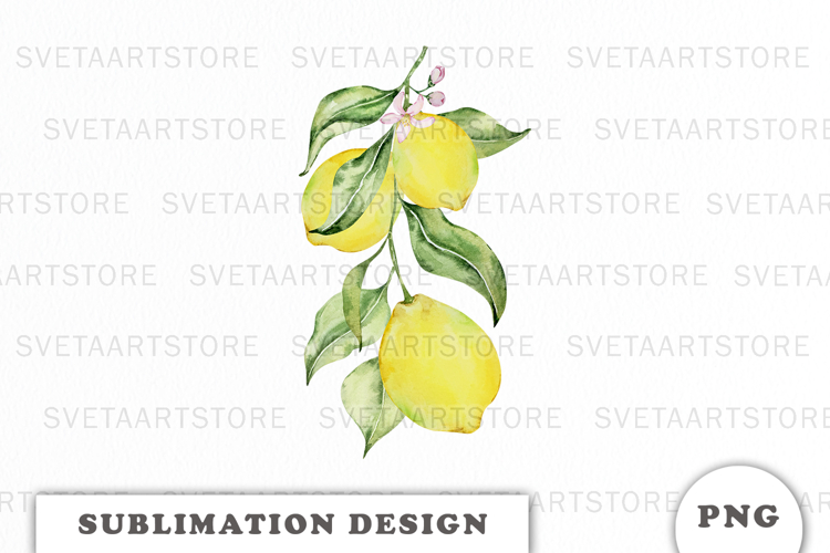 Watercolor Lemons composition png