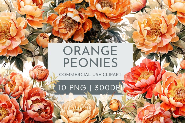 Peony Clipart Image 22