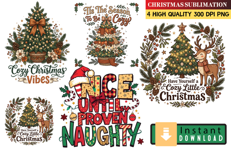 Christmas Png Image 23