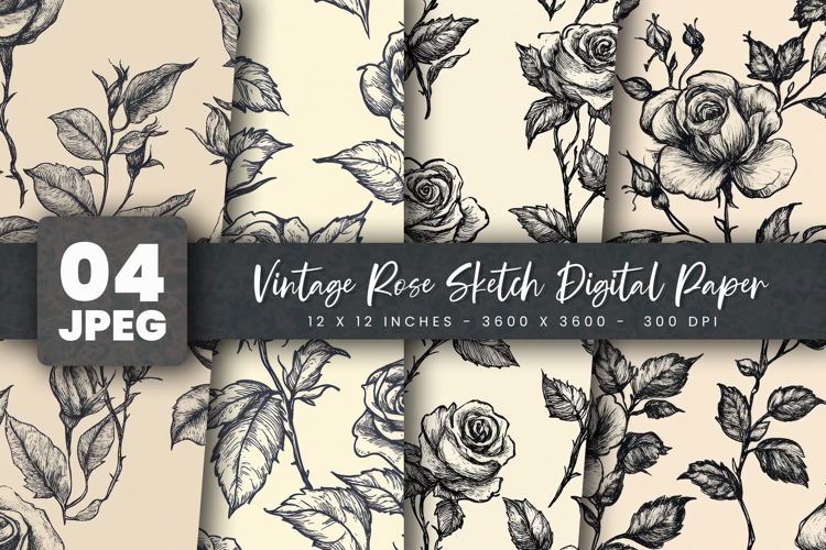 Vintage Rose Sketch Digital Paper