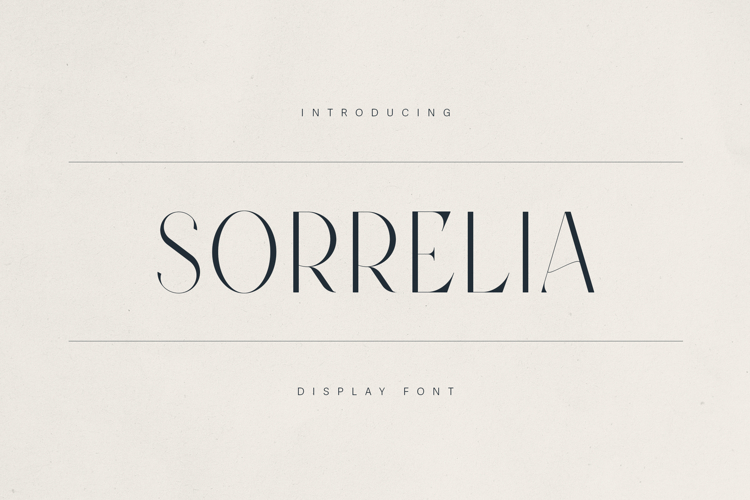 Branding Font Image 16