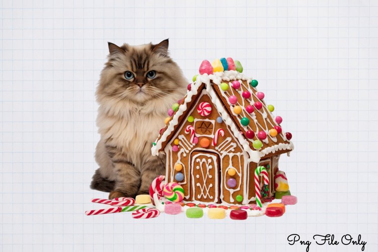 Boho Christmas Clipart Image 14