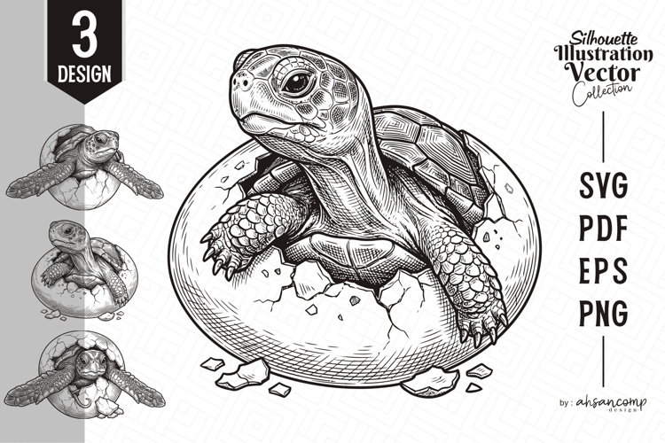 Turtle Illustration