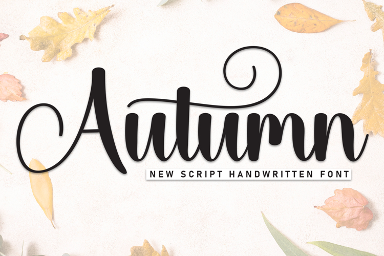 Feminine Fonts Image 12