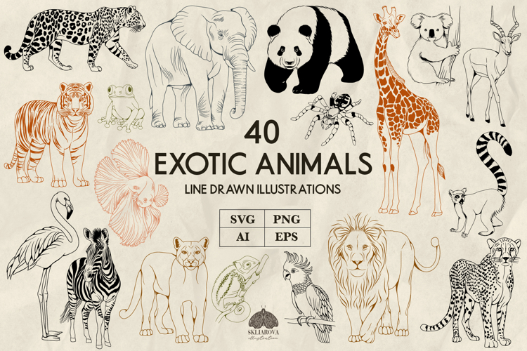 Exotic animals line art collection Svg Png Eps Ai