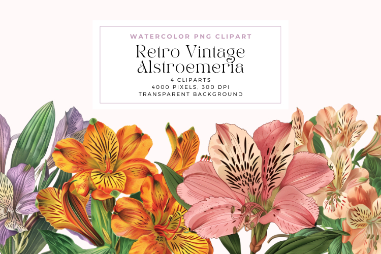 Retro Vintage Alstroemeria Flowers Clipart