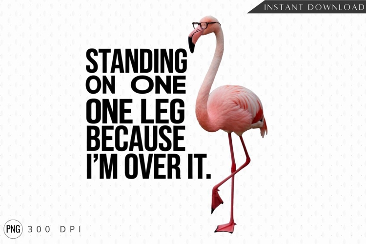 Flamingo Clipart Image 12