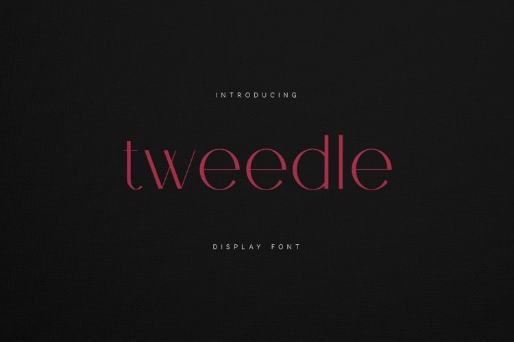 Tweedle Display Font Elegant Modern Serif for Branding