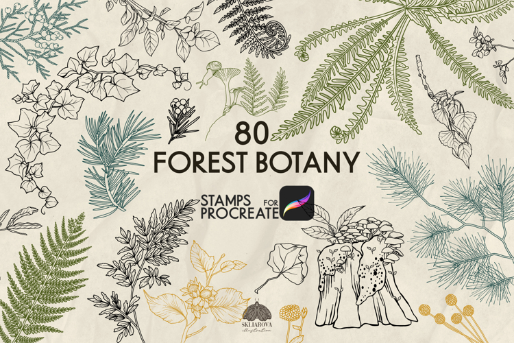 Forest Botany Procreate stamp brushes