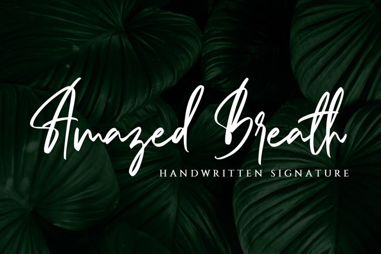 Signature Fonts Image 5