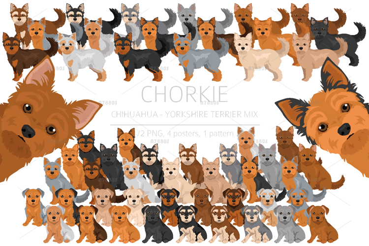 Yorkie Clipart Image 20