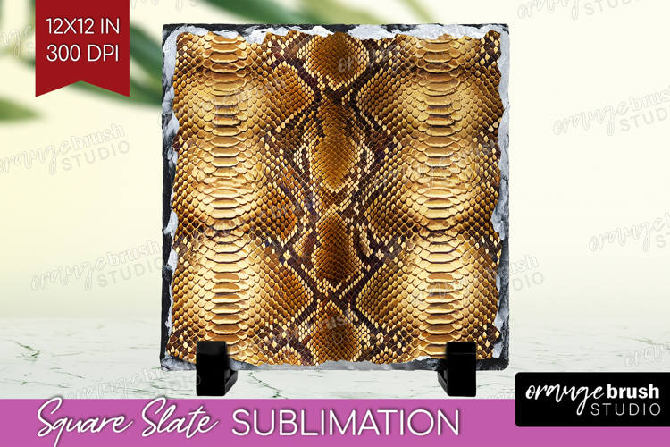 Skin Texture Image 9