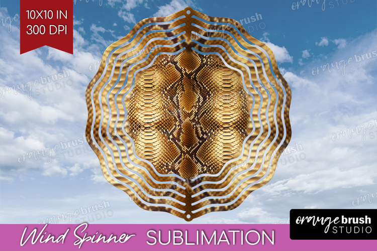 Skin Texture Image 17