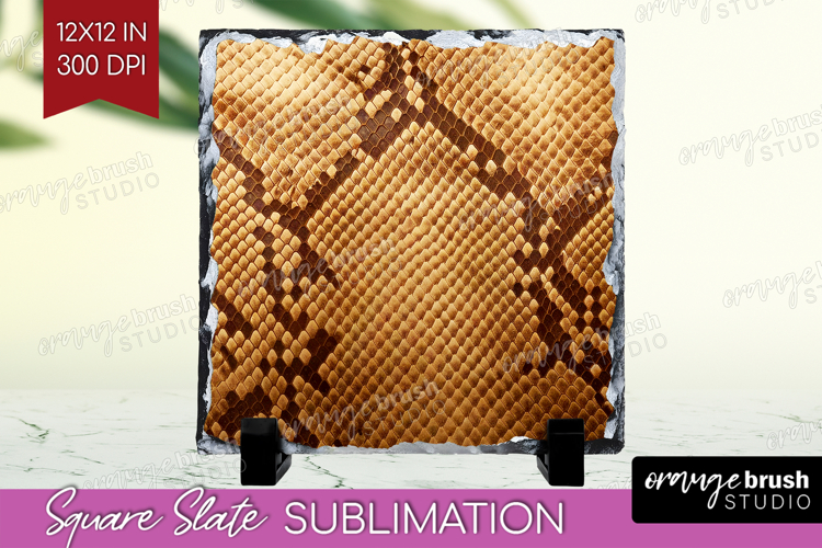 Skin Texture Image 6