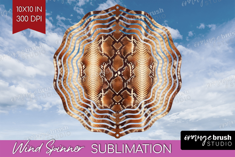 Skin Texture Image 13
