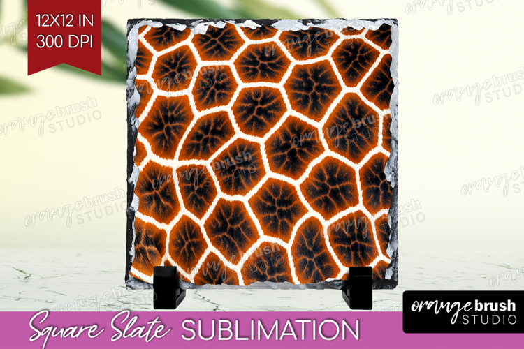 Skin Texture Image 22